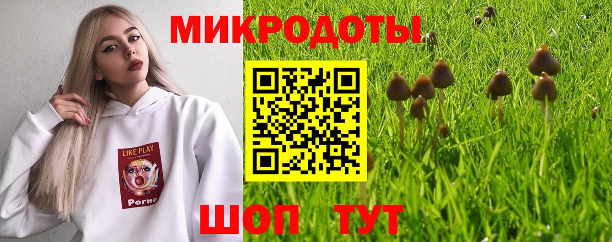 Котовск  где найти   Галлюциногенные грибы Cubensis  Вход с VPN  Псилоцибиновые грибы Psilocybine cubensis 