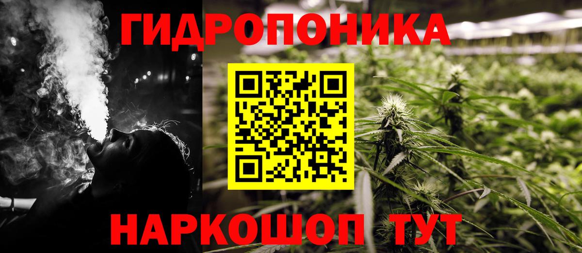 Бошки Шишки план  Вход с VPN  Котовск  Канабис OG Kush  Шишки марихуана индика 